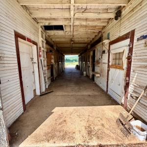 Photo #32 of SOLD property in 127 Albert Farm Rd, Monroe, VA 225.2 acres