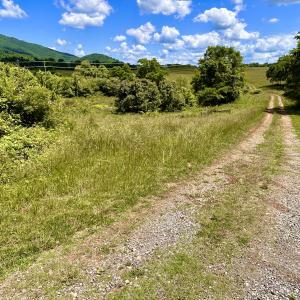 Photo #34 of SOLD property in 127 Albert Farm Rd, Monroe, VA 225.2 acres