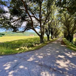 Photo #6 of SOLD property in 127 Albert Farm Rd, Monroe, VA 225.2 acres