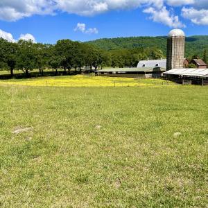 Photo #10 of SOLD property in 127 Albert Farm Rd, Monroe, VA 225.2 acres