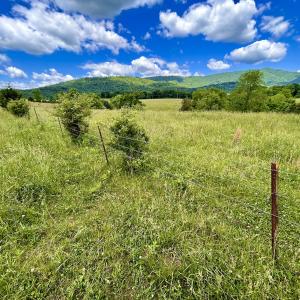 Photo #41 of SOLD property in 127 Albert Farm Rd, Monroe, VA 225.2 acres
