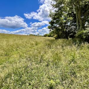 Photo #42 of SOLD property in 127 Albert Farm Rd, Monroe, VA 225.2 acres
