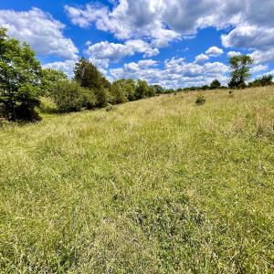 Photo #43 of SOLD property in 127 Albert Farm Rd, Monroe, VA 225.2 acres