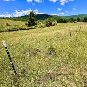 Photo #45 of SOLD property in 127 Albert Farm Rd, Monroe, VA 225.2 acres