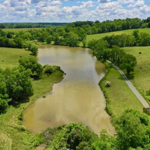 Photo #50 of SOLD property in 127 Albert Farm Rd, Monroe, VA 225.2 acres