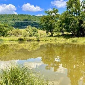 Photo #53 of SOLD property in 127 Albert Farm Rd, Monroe, VA 225.2 acres