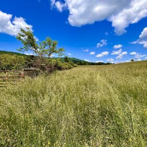 Photo #66 of SOLD property in 127 Albert Farm Rd, Monroe, VA 225.2 acres