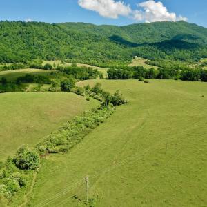 Photo #67 of SOLD property in 127 Albert Farm Rd, Monroe, VA 225.2 acres