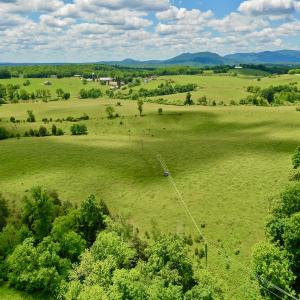 Photo #68 of SOLD property in 127 Albert Farm Rd, Monroe, VA 225.2 acres