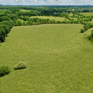 Photo #70 of SOLD property in 127 Albert Farm Rd, Monroe, VA 225.2 acres