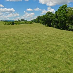 Photo #71 of SOLD property in 127 Albert Farm Rd, Monroe, VA 225.2 acres