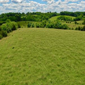 Photo #72 of SOLD property in 127 Albert Farm Rd, Monroe, VA 225.2 acres