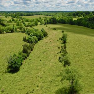 Photo #73 of SOLD property in 127 Albert Farm Rd, Monroe, VA 225.2 acres