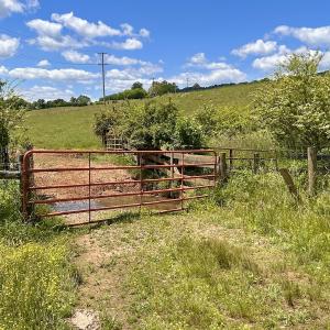 Photo #74 of SOLD property in 127 Albert Farm Rd, Monroe, VA 225.2 acres