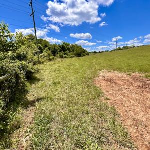 Photo #75 of SOLD property in 127 Albert Farm Rd, Monroe, VA 225.2 acres