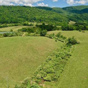 Photo #76 of SOLD property in 127 Albert Farm Rd, Monroe, VA 225.2 acres