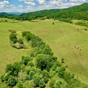 Photo #77 of SOLD property in 127 Albert Farm Rd, Monroe, VA 225.2 acres