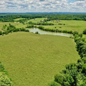 Photo #79 of SOLD property in 127 Albert Farm Rd, Monroe, VA 225.2 acres