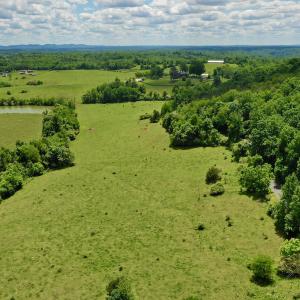 Photo #80 of SOLD property in 127 Albert Farm Rd, Monroe, VA 225.2 acres