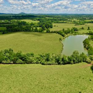 Photo #81 of SOLD property in 127 Albert Farm Rd, Monroe, VA 225.2 acres