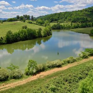 Photo #82 of SOLD property in 127 Albert Farm Rd, Monroe, VA 225.2 acres