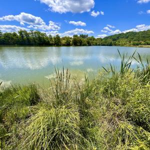 Photo #84 of SOLD property in 127 Albert Farm Rd, Monroe, VA 225.2 acres