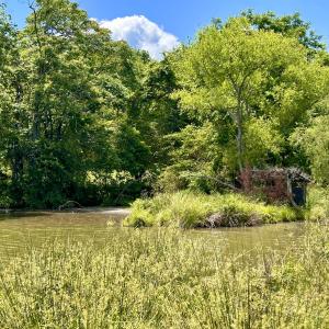 Photo #85 of SOLD property in 127 Albert Farm Rd, Monroe, VA 225.2 acres