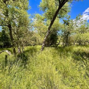 Photo #86 of SOLD property in 127 Albert Farm Rd, Monroe, VA 225.2 acres