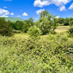 Photo #90 of SOLD property in 127 Albert Farm Rd, Monroe, VA 225.2 acres