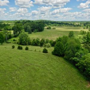 Photo #91 of SOLD property in 127 Albert Farm Rd, Monroe, VA 225.2 acres