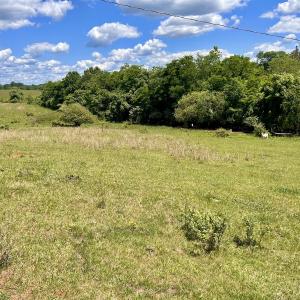 Photo #95 of SOLD property in 127 Albert Farm Rd, Monroe, VA 225.2 acres