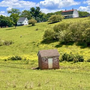 Photo #96 of SOLD property in 127 Albert Farm Rd, Monroe, VA 225.2 acres