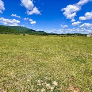 Photo #98 of SOLD property in 127 Albert Farm Rd, Monroe, VA 225.2 acres