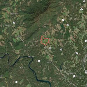 Photo #99 of SOLD property in 127 Albert Farm Rd, Monroe, VA 225.2 acres