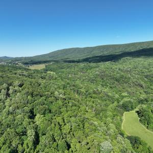 Photo #7 of SOLD property in 4400 Rich Patch Rd, Covington, VA 153.0 acres