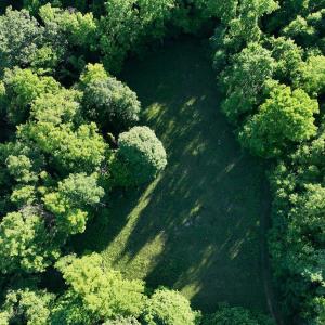 Photo #13 of SOLD property in 4400 Rich Patch Rd, Covington, VA 153.0 acres