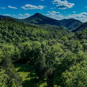 Photo #14 of SOLD property in 4400 Rich Patch Rd, Covington, VA 153.0 acres