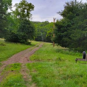 Photo #16 of SOLD property in 4400 Rich Patch Rd, Covington, VA 153.0 acres