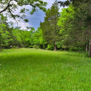 Photo #17 of SOLD property in 4400 Rich Patch Rd, Covington, VA 153.0 acres