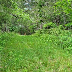 Photo #23 of SOLD property in 4400 Rich Patch Rd, Covington, VA 153.0 acres