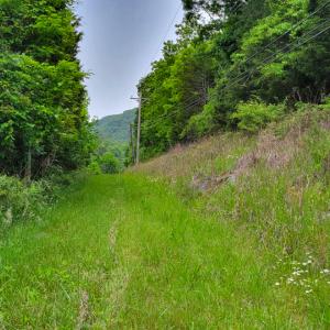 Photo #24 of SOLD property in 4400 Rich Patch Rd, Covington, VA 153.0 acres