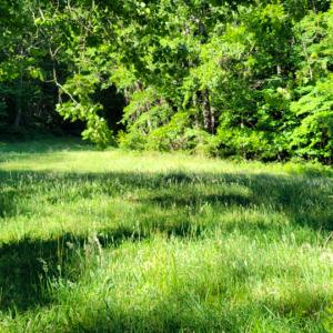 Photo #26 of SOLD property in 4400 Rich Patch Rd, Covington, VA 153.0 acres