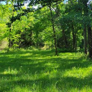 Photo #28 of SOLD property in 4400 Rich Patch Rd, Covington, VA 153.0 acres