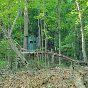 Photo #30 of SOLD property in 4400 Rich Patch Rd, Covington, VA 153.0 acres