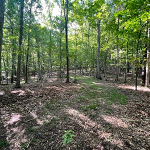 Photo #34 of SOLD property in 4400 Rich Patch Rd, Covington, VA 153.0 acres