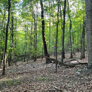 Photo #36 of SOLD property in 4400 Rich Patch Rd, Covington, VA 153.0 acres