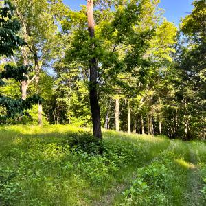 Photo #37 of SOLD property in 4400 Rich Patch Rd, Covington, VA 153.0 acres