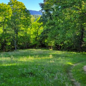 Photo #38 of SOLD property in 4400 Rich Patch Rd, Covington, VA 153.0 acres