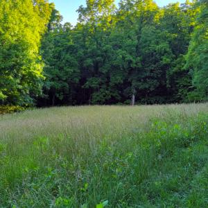Photo #39 of SOLD property in 4400 Rich Patch Rd, Covington, VA 153.0 acres