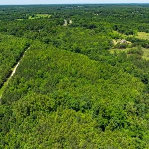 Photo #2 of SOLD property in Off Wilson Road - Lot 5, Providence, NC 14.6 acres